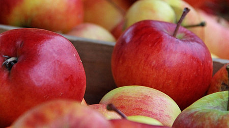 Knackige, rote Äpfel