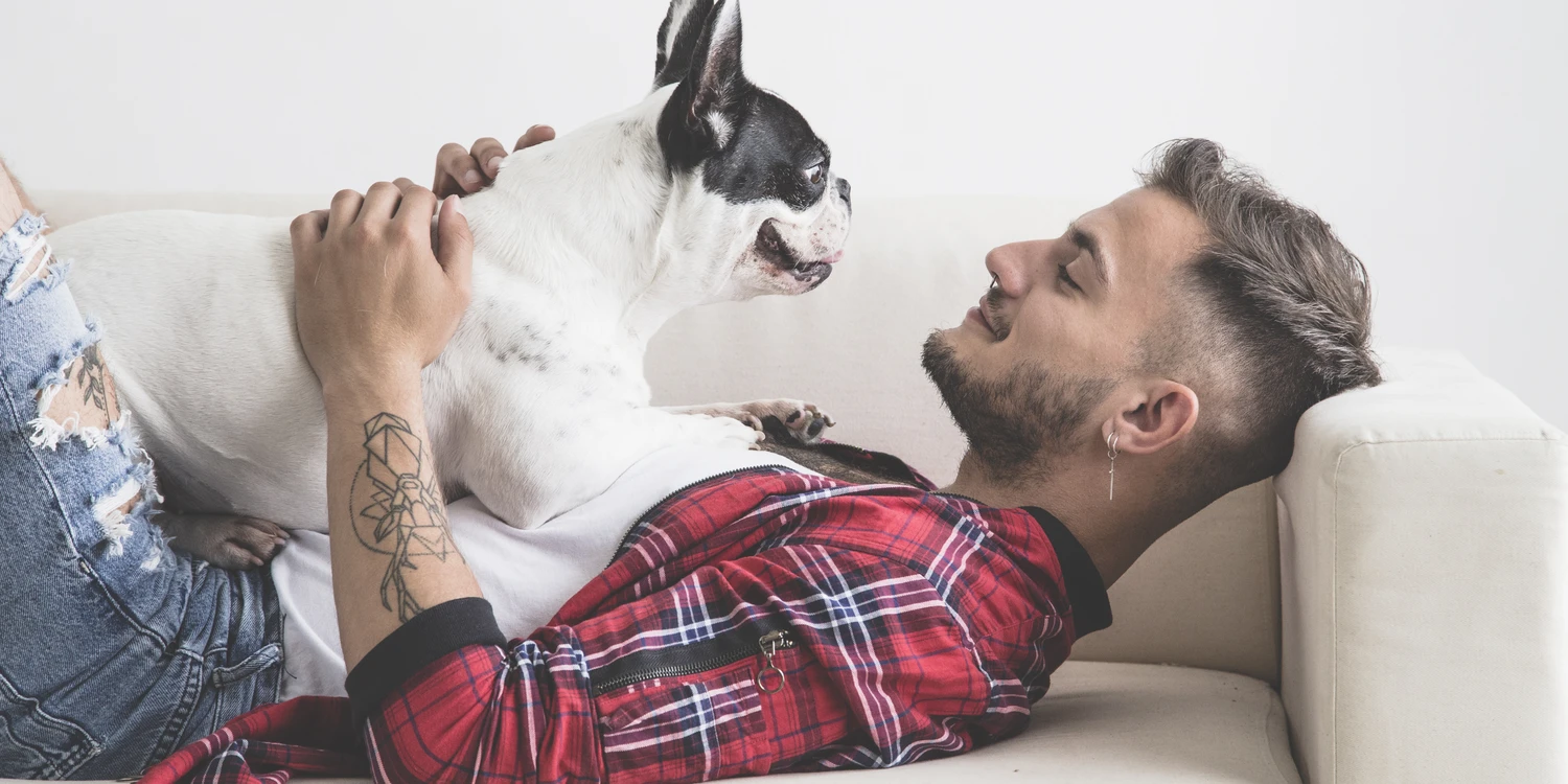 Frenchy mit Mann auf dem Sofa